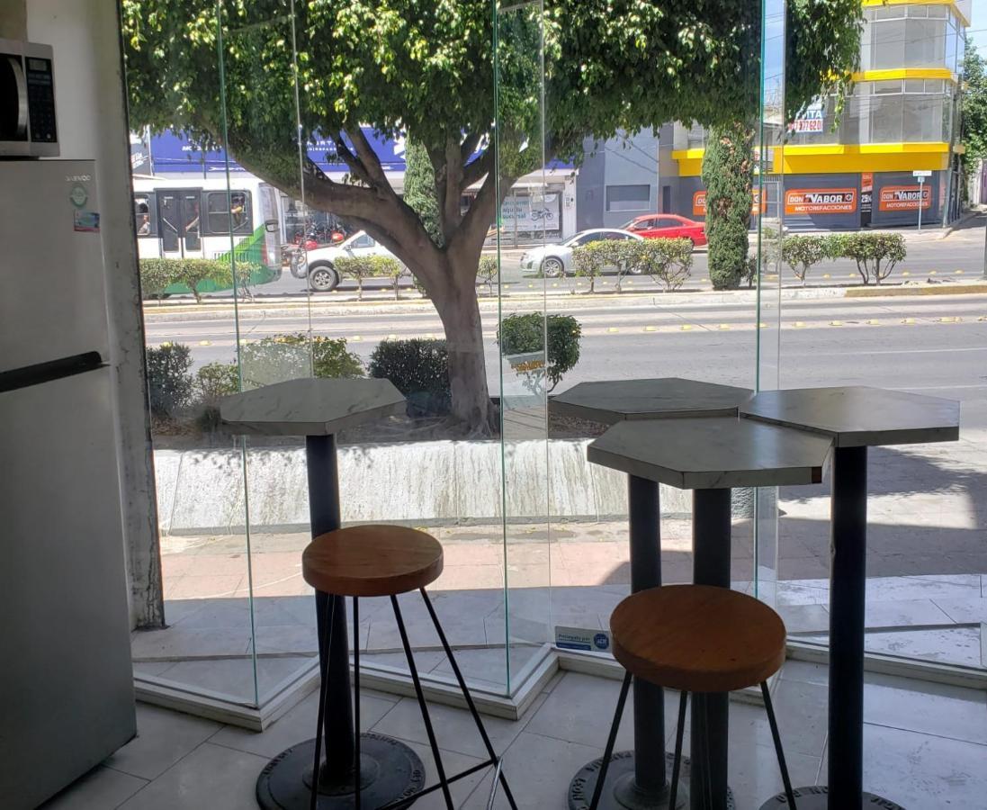 Hotel Estadia 레온 외부 사진