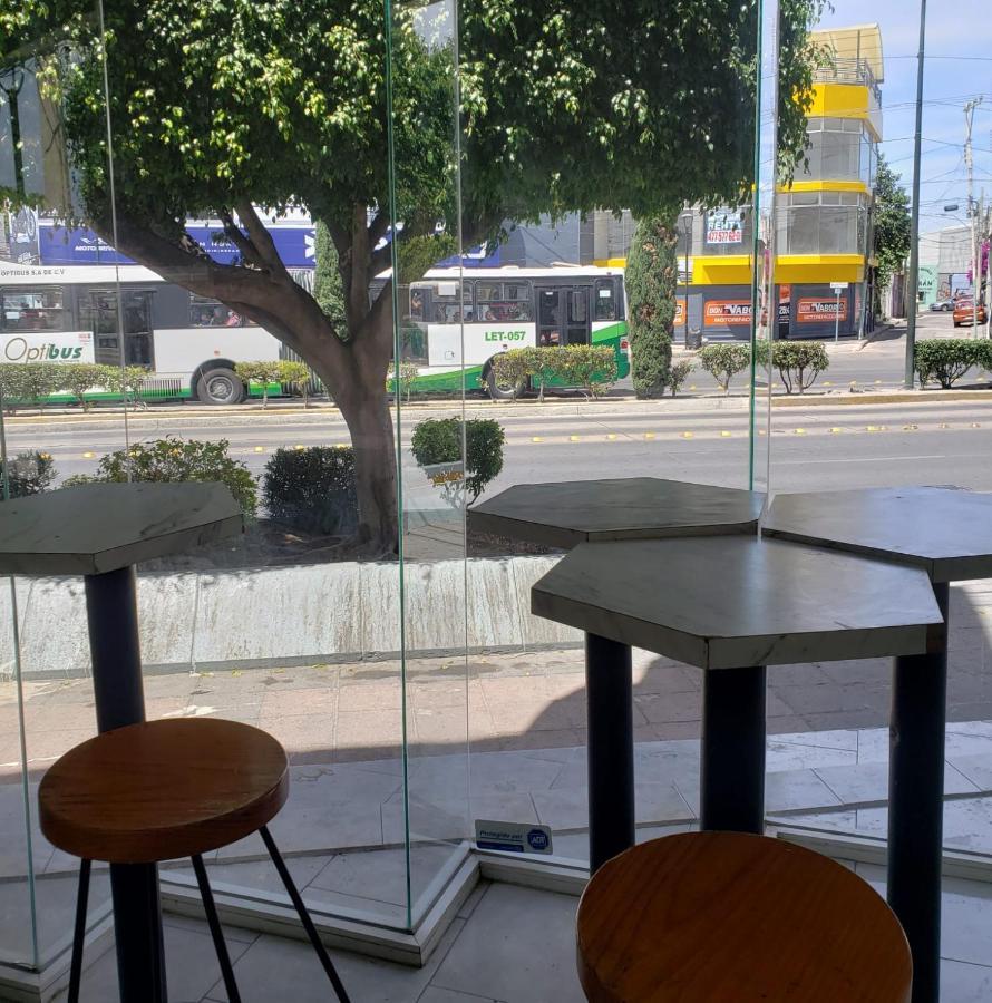 Hotel Estadia 레온 외부 사진